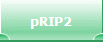 pRIP2
